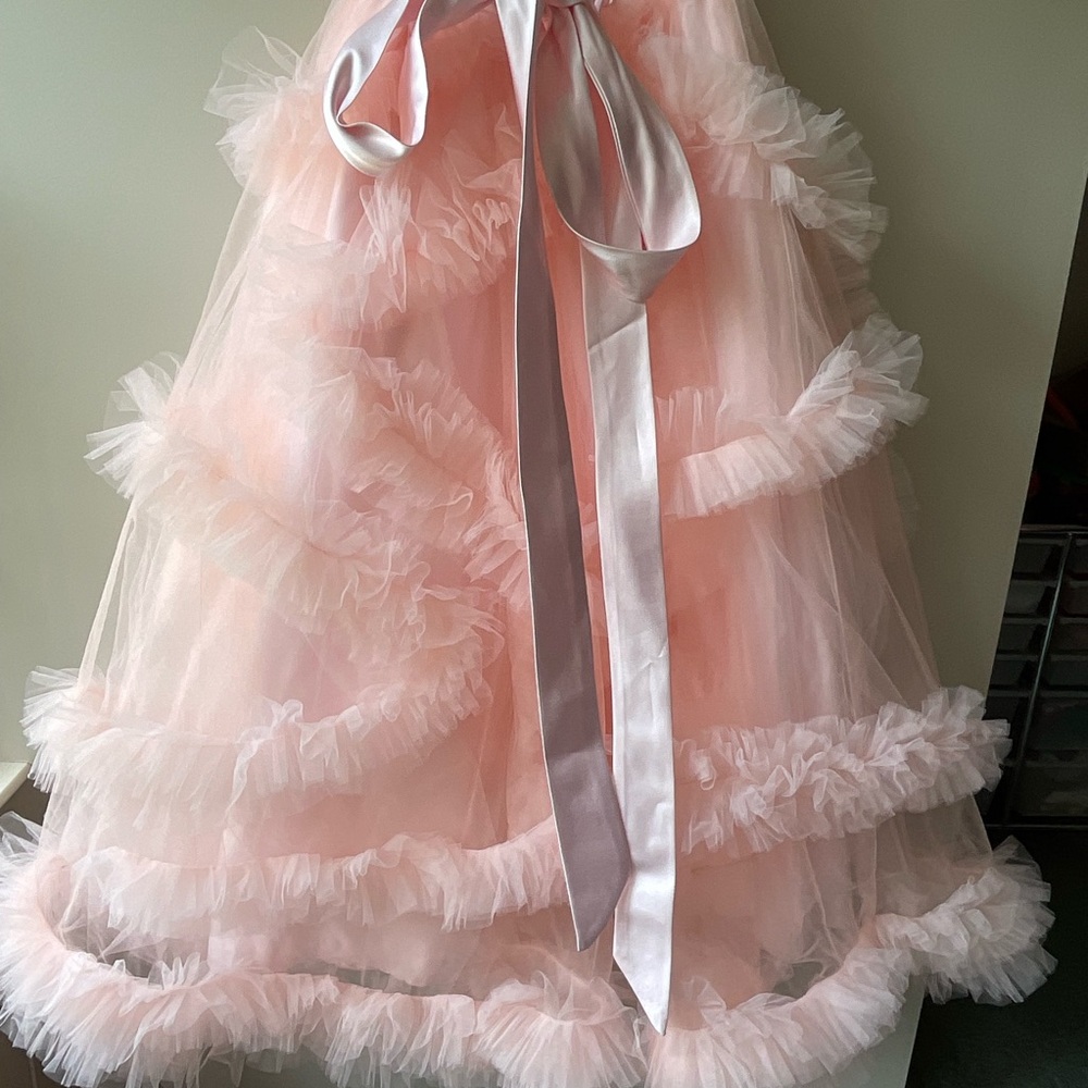 Pink Ruffled Gown with Flutter Sleeves - Picture 9 of 15